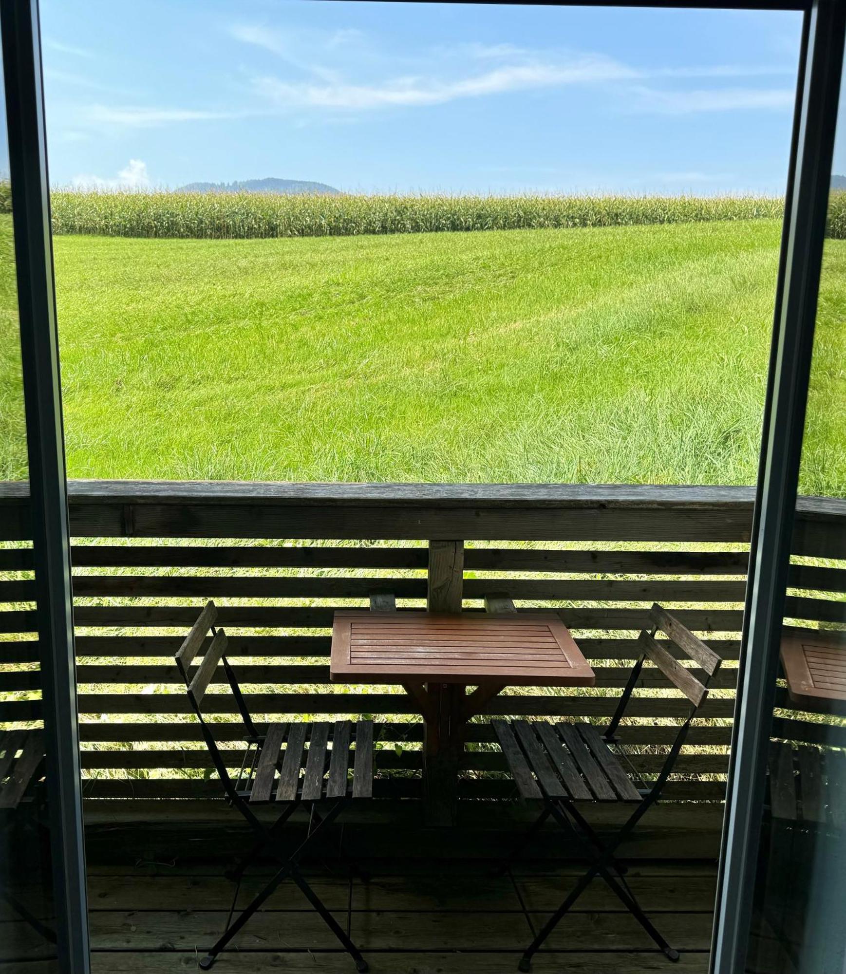 Apartmenthotel 'S Mitterndorf Traunkirchen Esterno foto